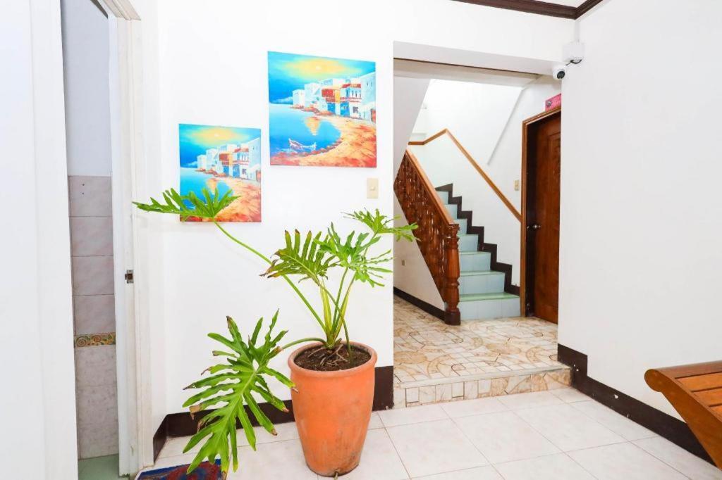 Mayon Mochileros Hostal Legazpi Exterior foto